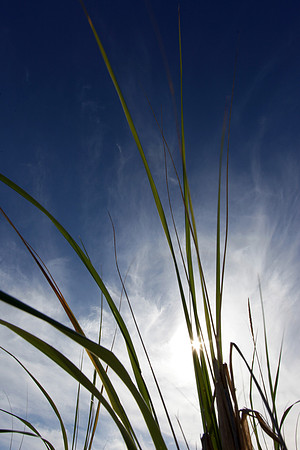 092513_0031w_bg