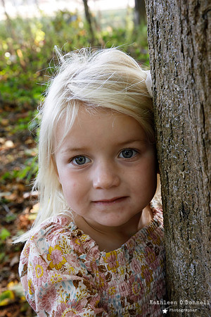 0019_hay