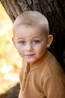 wil_0011