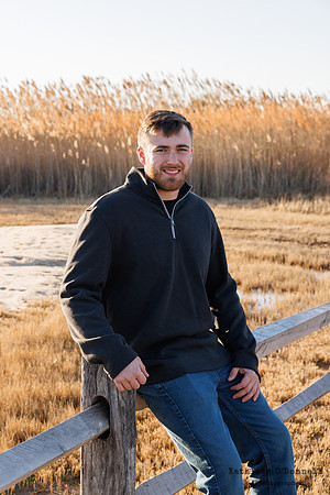0040_swi