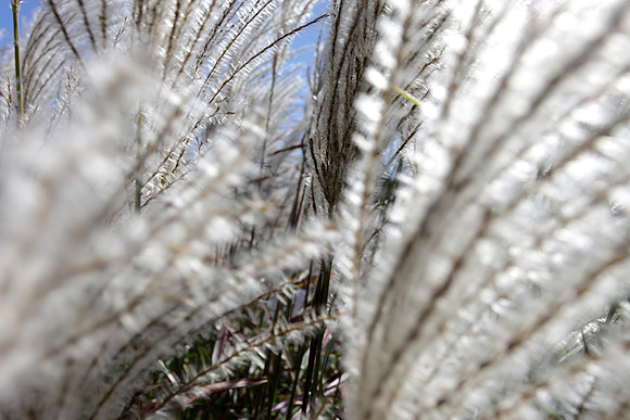 091713_0021w_bg