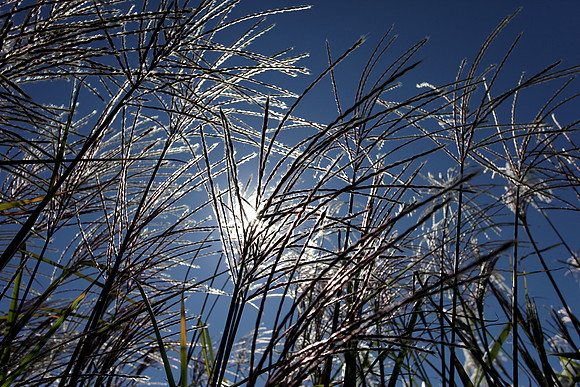 091713_0011w_bg