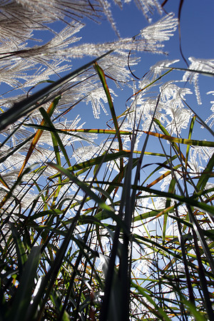 091713_0002w_bg