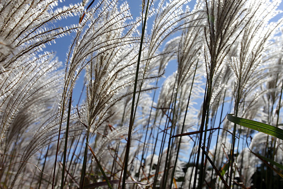 091713_0023w_bg