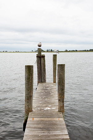 0269_ber