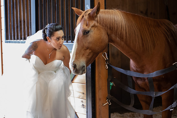 cl_0247