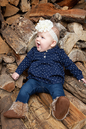 0037_wood