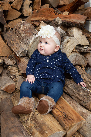 0038_wood