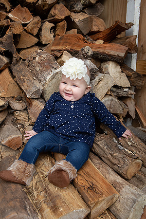0042_wood