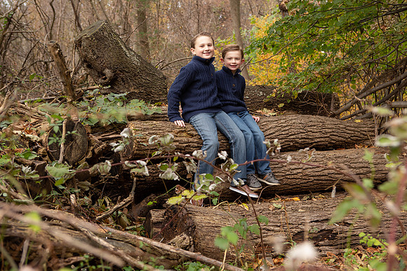 0076_wood