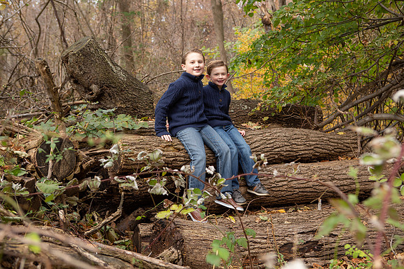 0077_wood