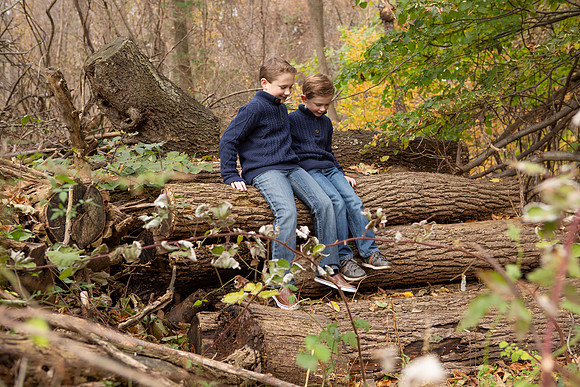0078_wood
