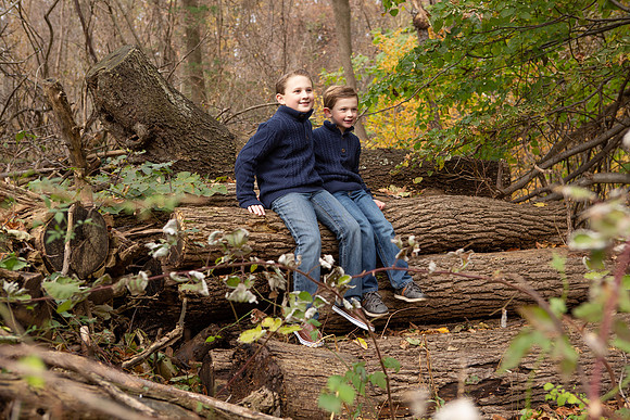 0079_wood