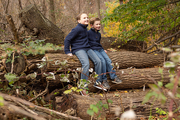0080_wood