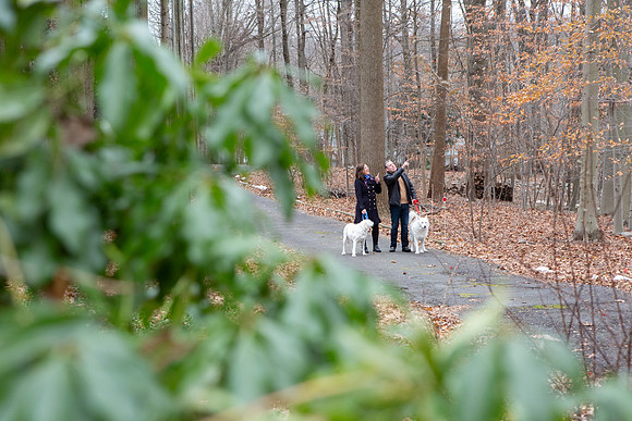jan_0041