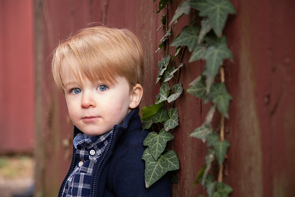 0138_wood