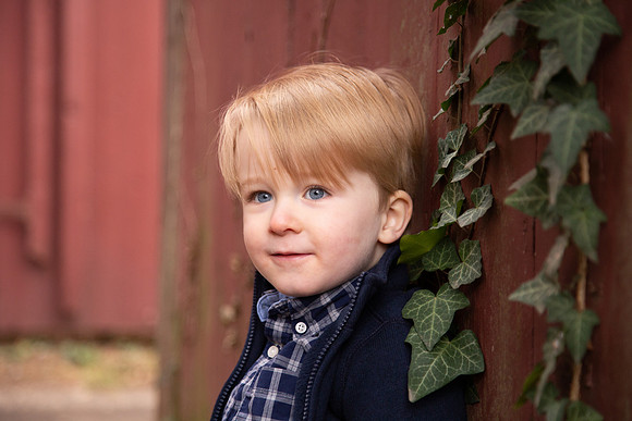 0139_wood