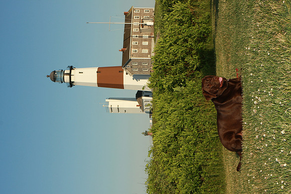 0169_Len