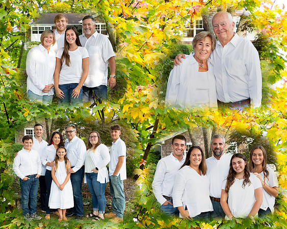 New_Collage