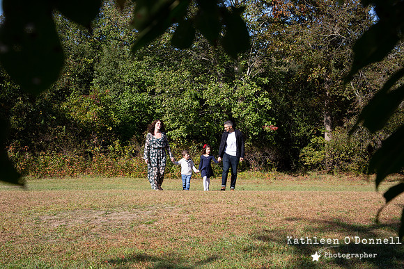 nol_0011