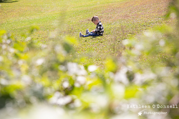 lee_0018