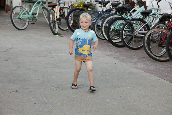 max_0060