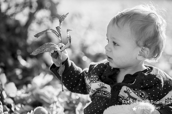 0023_bou_bw