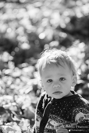 0042_bou_bw