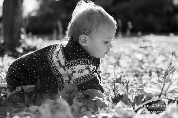0025_bou_bw