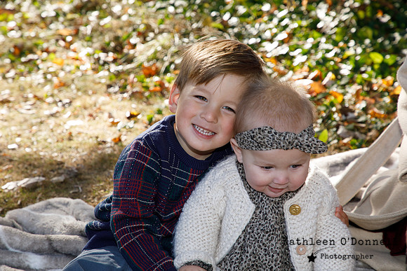 0008_kro