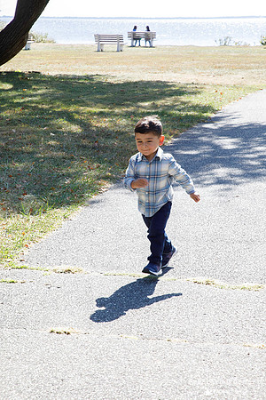 0015_hyl